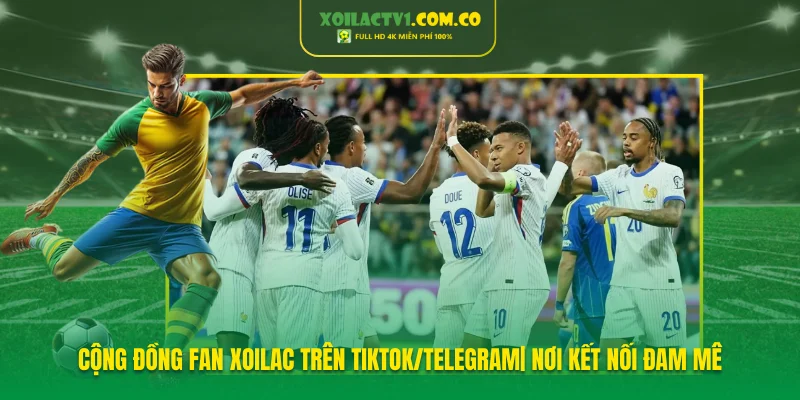 Cộng đồng fan Xoilac trên TikTok/Telegram| Nơi kết nối đam mê