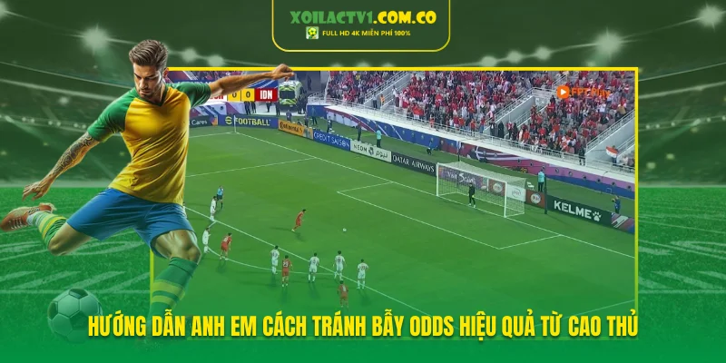 Hướng dẫn anh em cách tránh bẫy Odds hiệu quả từ cao thủ