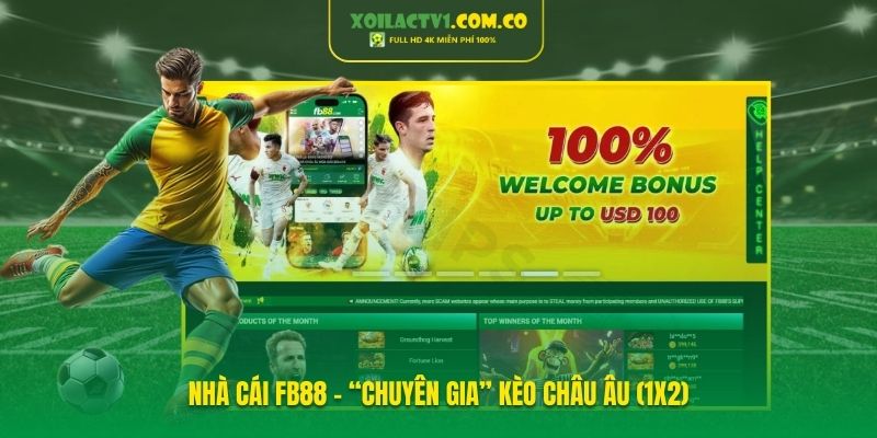 Nhà cái FB88 – “Chuyên gia” kèo Châu Âu (1x2)
