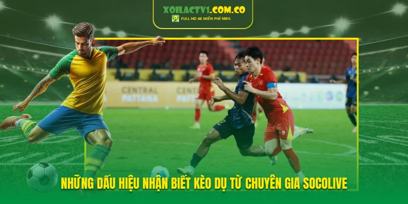 Những dấu hiệu nhận biết kèo dụ từ chuyên gia Socolive