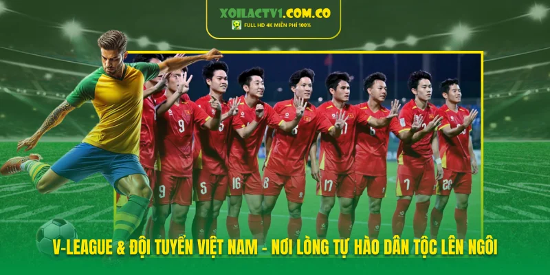 V-League & Đội tuyển Việt Nam - Nơi lòng tự hào dân tộc lên ngôi